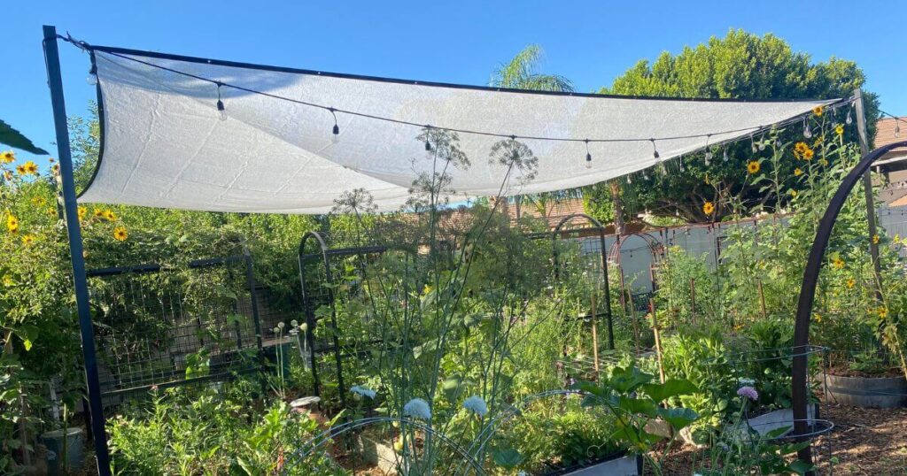 Home gardening
