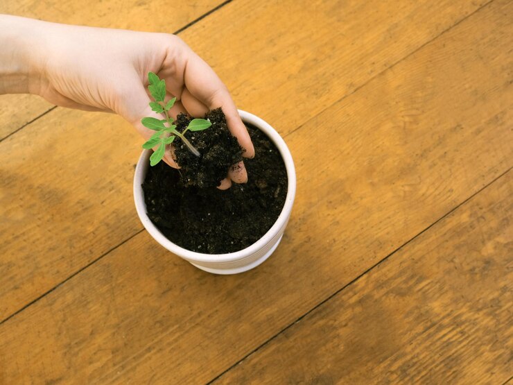 home gardening organic