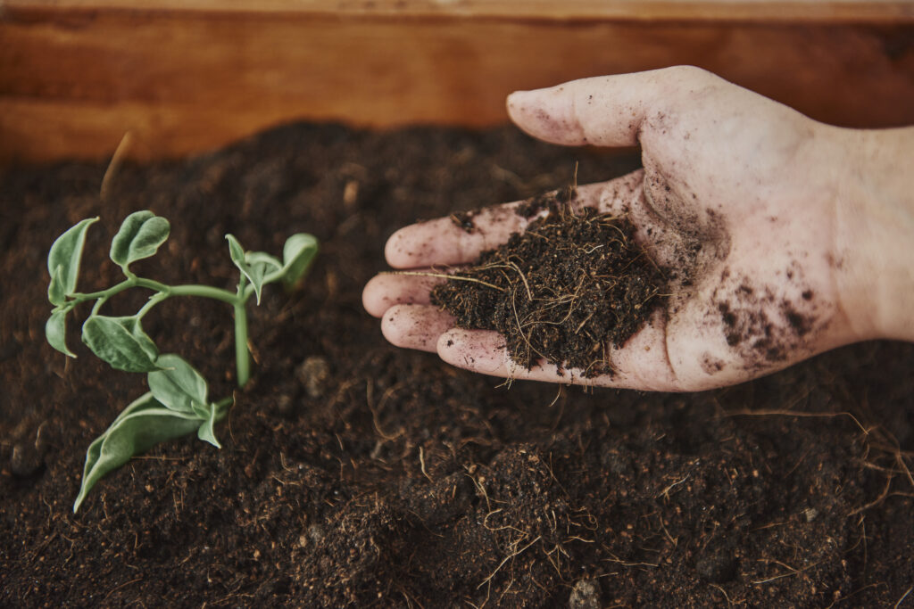 Indoor Gardening