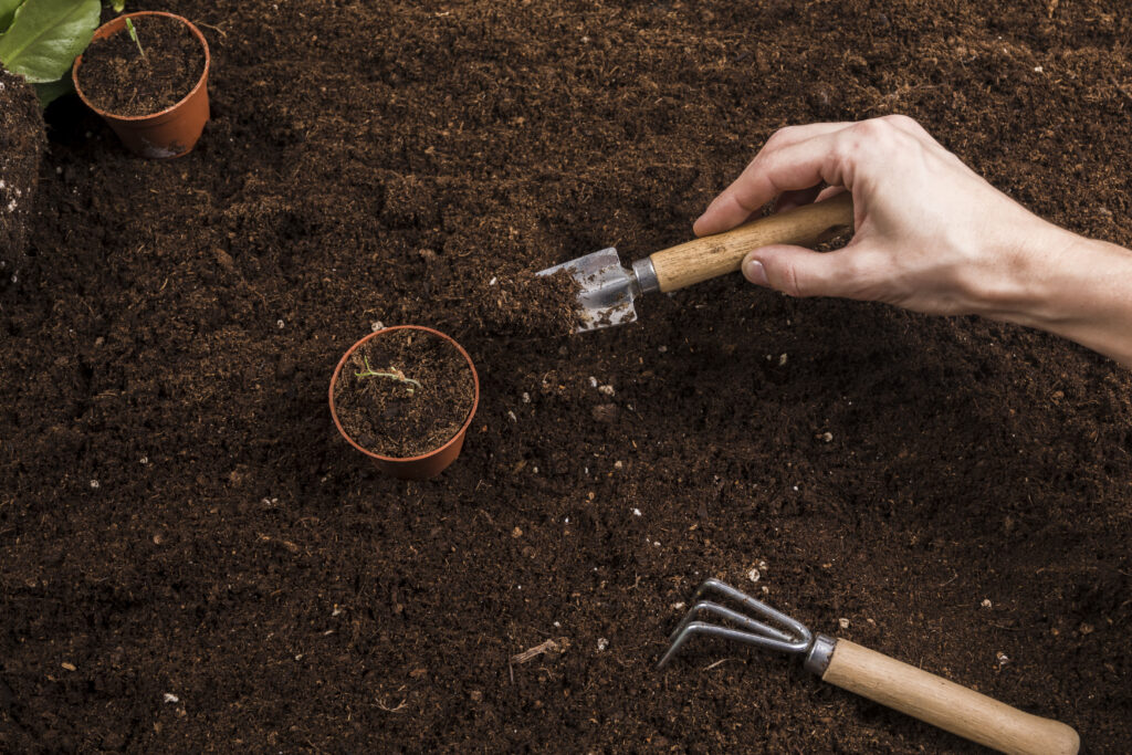 Home gardening