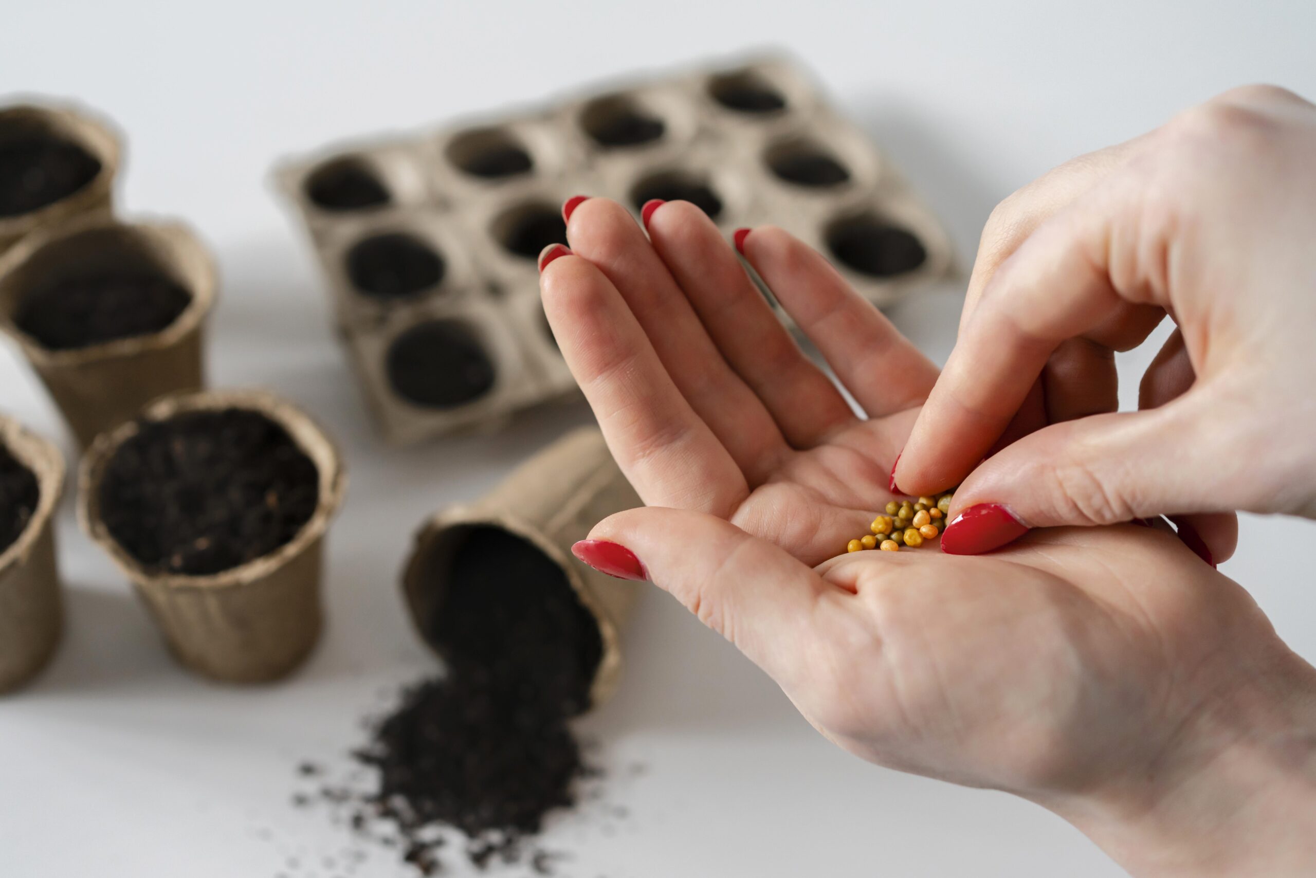 seed planting indoor