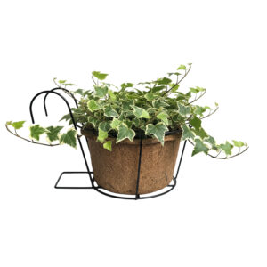 San-Kalpa Coir Pots with Grill Accessory