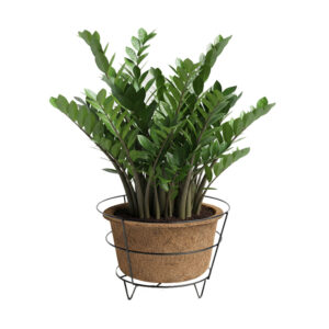 San-Kalpa Painted Coir Pots with Table Top Accessory